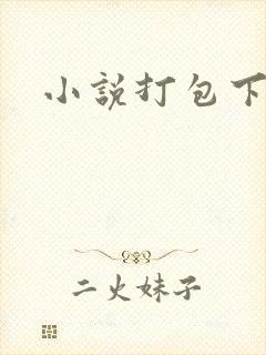 小说打包下载