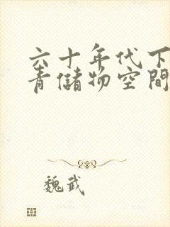 六十年代下乡知青储物空间封面