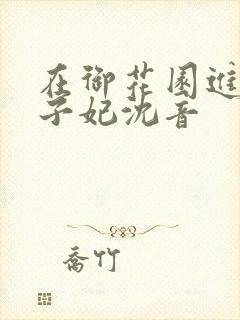 在御花园进入太子妃沈音