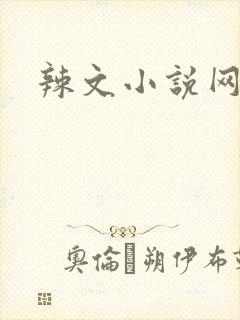辣文小说网