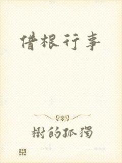 借根行事封面