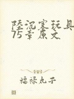 陆沉塞玩具高速75章原文