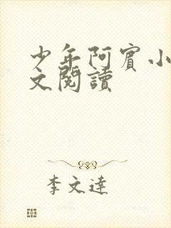 少年阿宾小说全文阅读