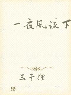 一夜风流下载
