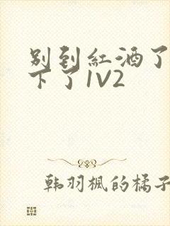 别到红酒了装不下了1V2