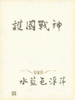 护国战神