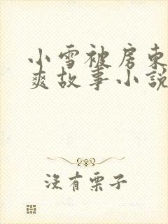 小雪被房东的好爽故事小说封面