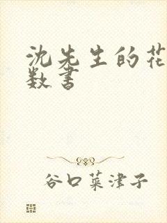 沈先生的花式调数书封面