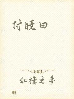 付晓田