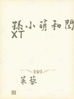 孙小萌和闫辰TXT