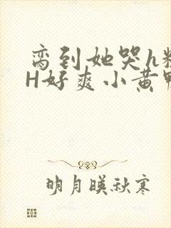 脔到她哭h粗话H好爽小黄鸭视频