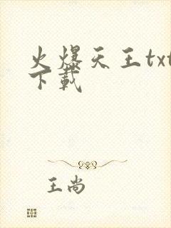 火爆天王txt下载封面