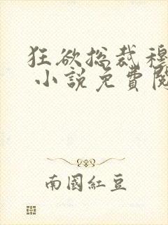 狂欲总裁穆非雪 小说免费阅读