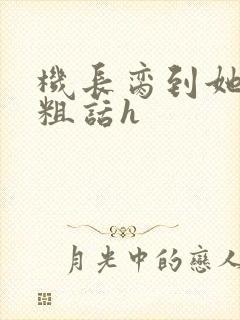 机长脔到她哭h粗话h