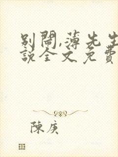 别闹,薄先生小说全文免费阅读