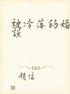 被冷落的婚姻小说