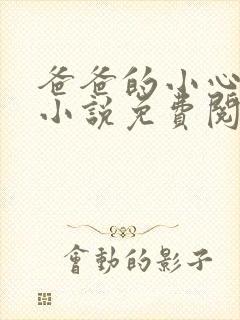 爸爸的小心肝儿小说免费阅读