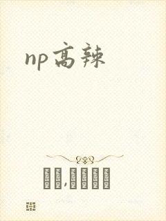 np高辣