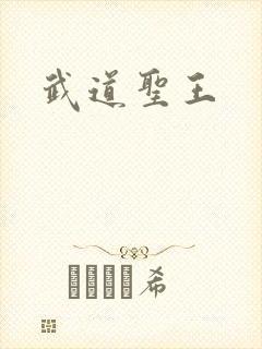 武道圣王