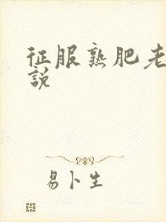 征服熟肥老妇小说封面