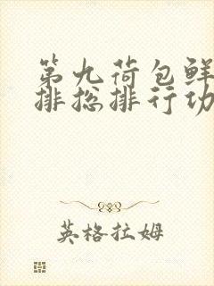 第九荷包鲜辣肉排总排行功能介绍封面