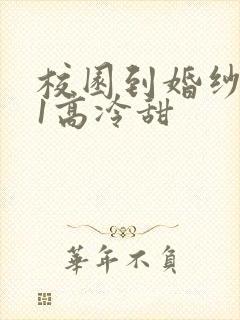 校园到婚纱1V1高冷甜