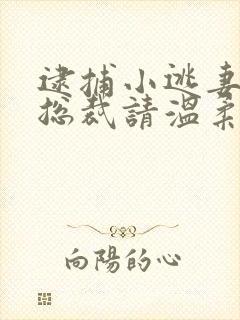 逮捕小逃妻狼性总裁请温柔