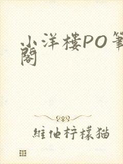 小洋楼PO笔趣阁