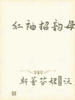 红袖招韵母攻略封面