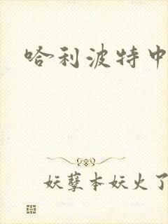 哈利波特中文版