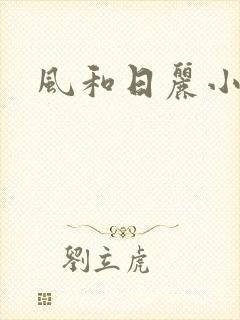 风和日丽小说