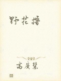 野花撸封面