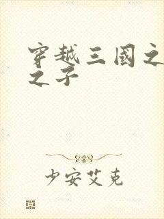 穿越三国之袁绍之子封面