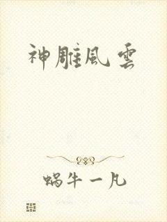 神雕风云