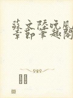 苏文陆晚风最新章节笔趣阁封面