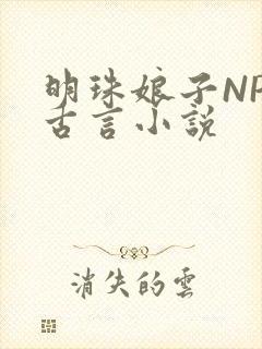 明珠娘子NPC古言小说