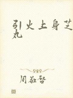 引火上身芝麻糖丸