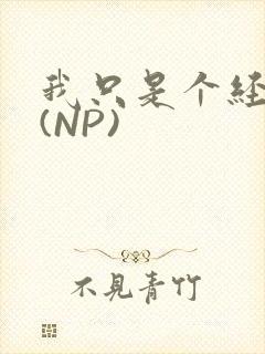 我只是个经纪人(NP)封面