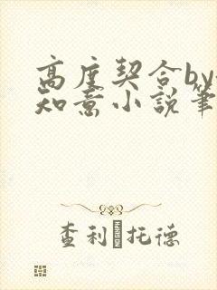 高度契合by洛知意小说笔趣阁无弹窗封面