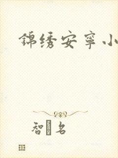 锦绣安宁小说封面