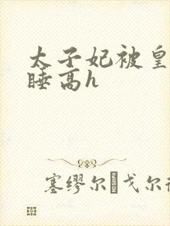 太子妃被皇上强睡高h