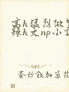 高h猛烈做哭高辣h文np小说封面