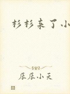 杉杉来了小说封面