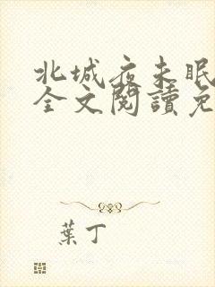 北城夜未眠小说全文阅读免费