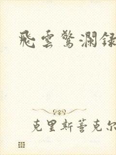 飞云惊澜录