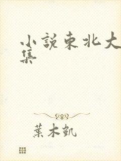 小说东北大炕全集