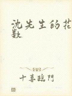 沈先生的花式调数