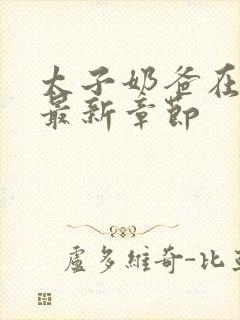 太子奶爸在花都最新章节封面