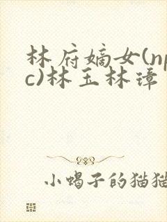 林府嫡女(npc)林玉林璋