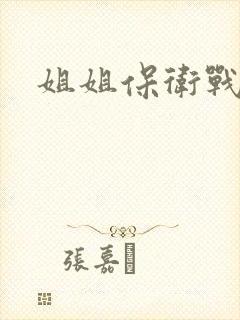 姐姐保卫战封面